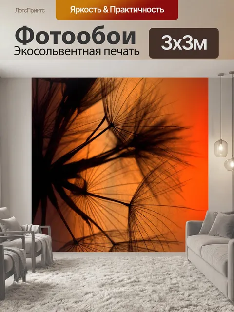 Фотообои Одуванчик