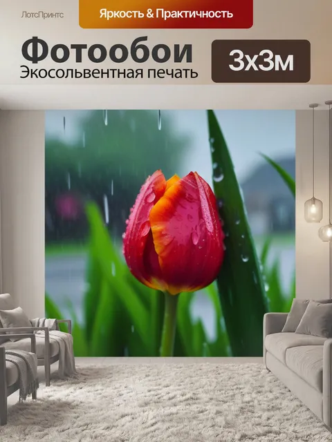 Фотообои тюльпаны в дождливый день