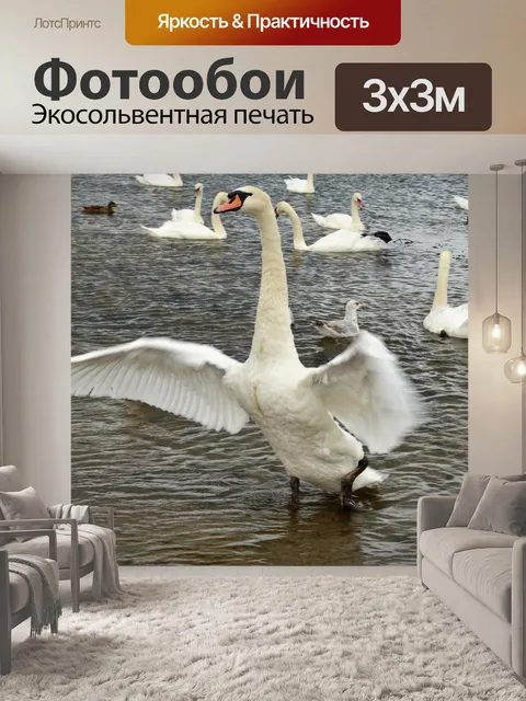Фотообои Птицы