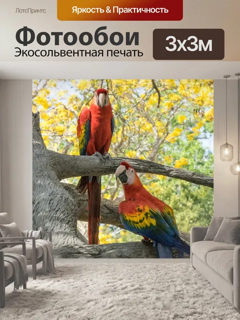 Фотообои Птица