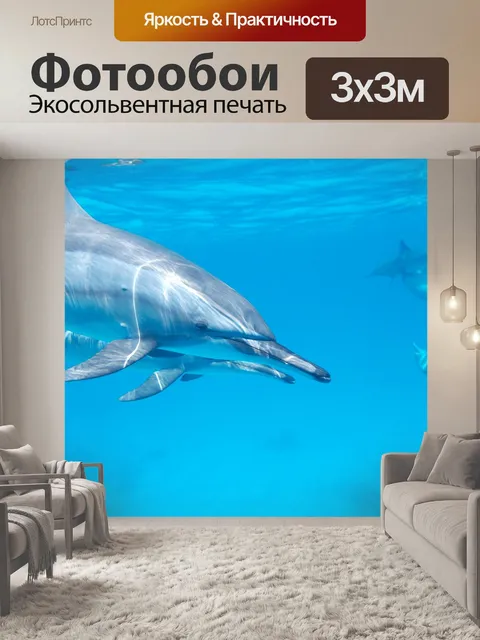 Фотообои Дельфин