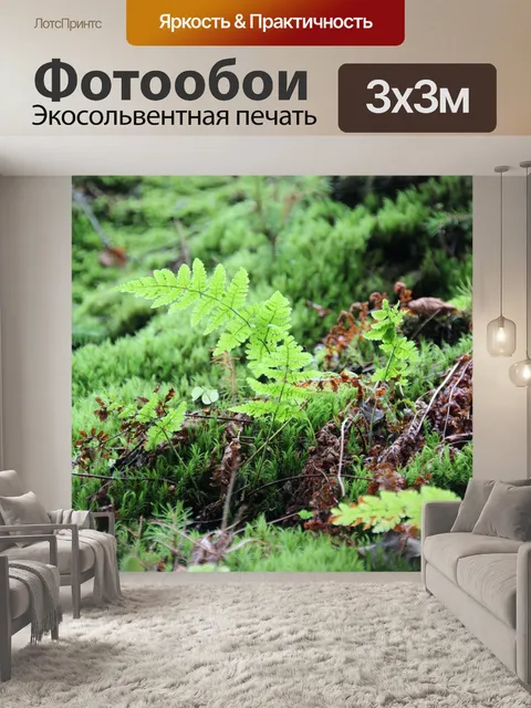 Фотообои Папоротник