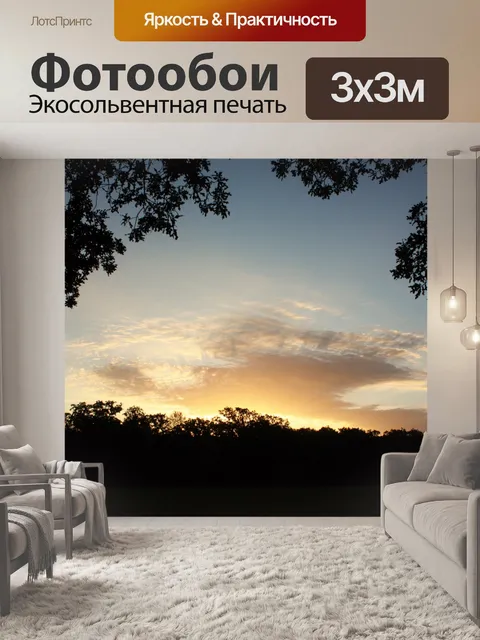 Фотообои Летний рассвет сквозь деревья