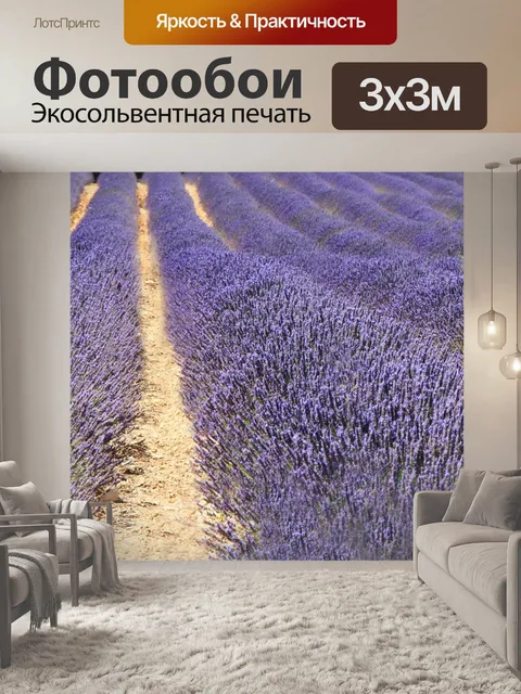 Фотообои Франция