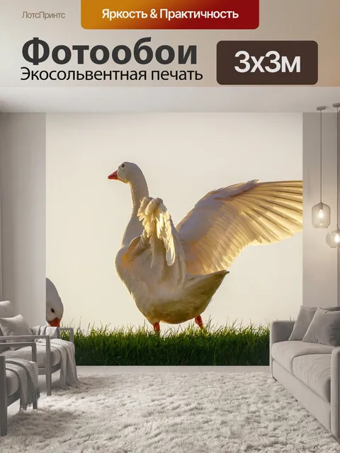 Фотообои Гуси