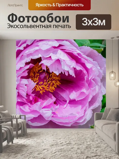 Фотообои Пион