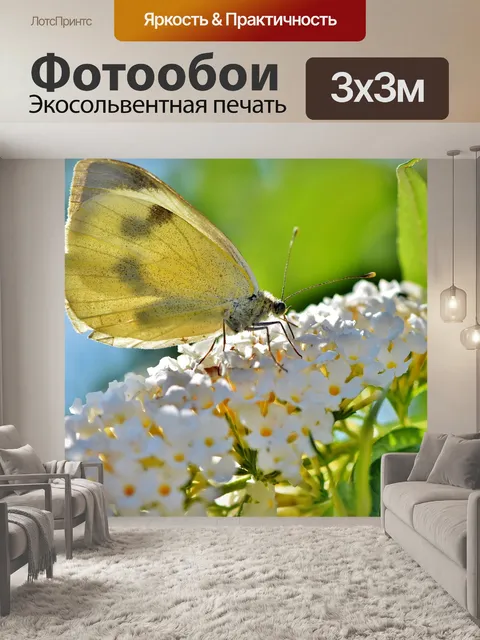 Фотообои Белый
