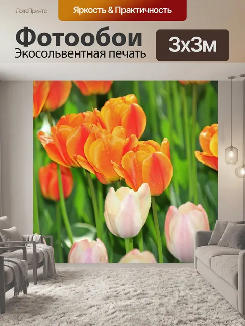 Фотообои Тюльпаны