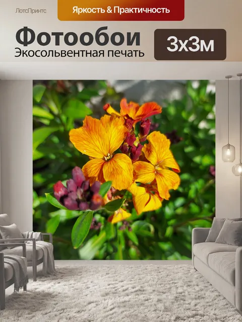 Фотообои Цветы