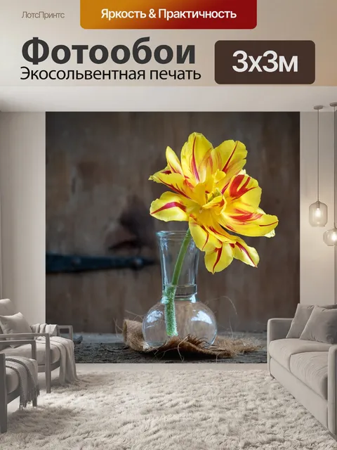 Фотообои Тюльпан