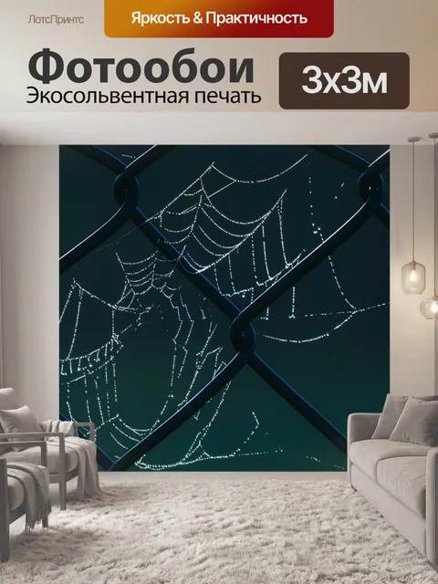 Фотообои Паутина