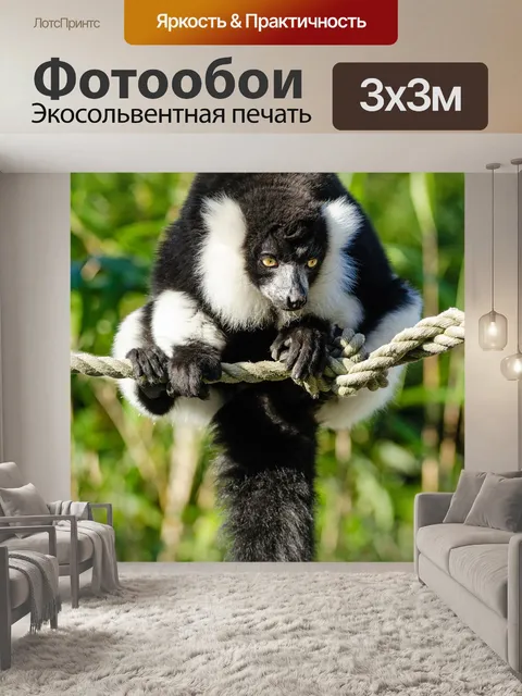 Фотообои Животное