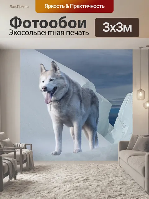 Фотообои Хаски