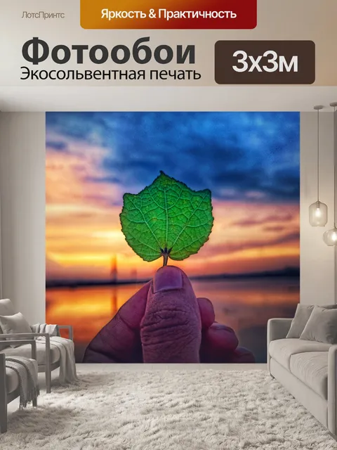 Фотообои Красивые листья и моменты заката