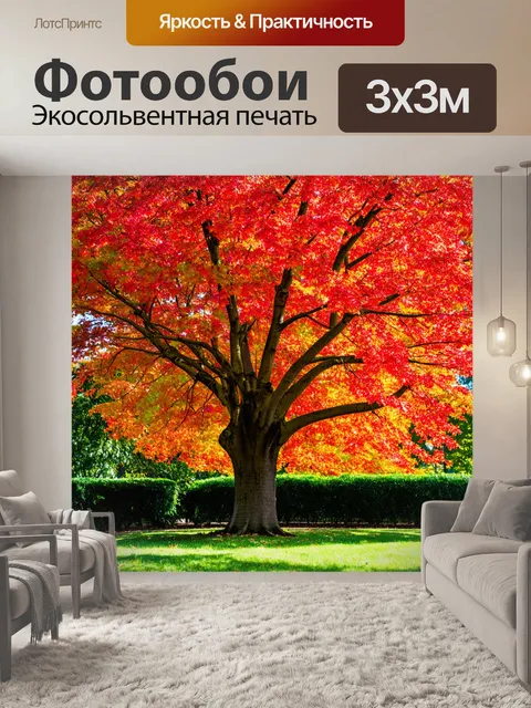 Фотообои дерево с ярко-красными листьями в городском парке