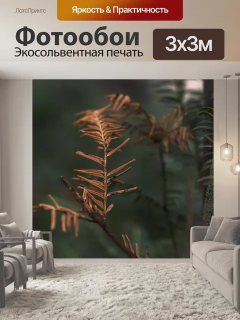 Фотообои Ветви