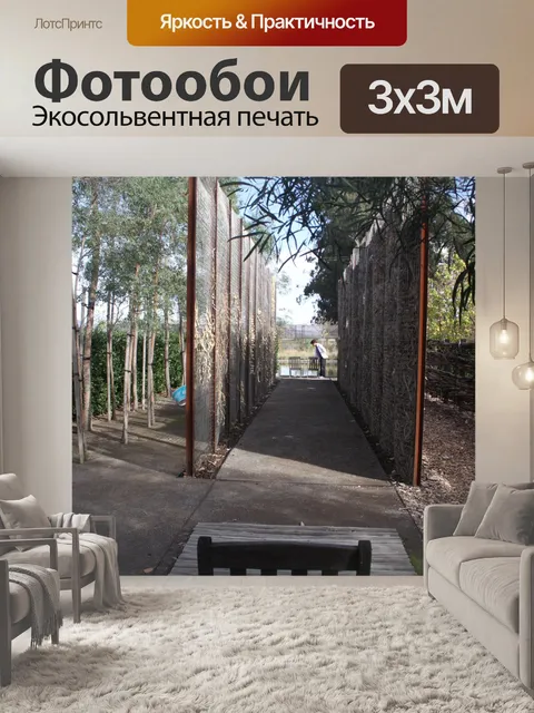 Фотообои Деревья