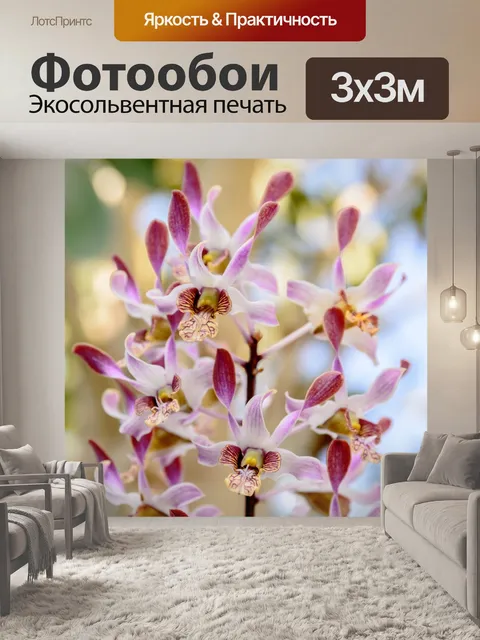 Фотообои Орхидея