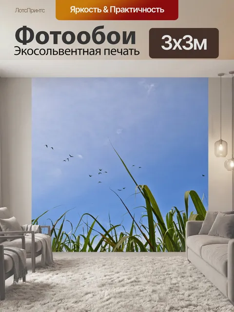 Фотообои Поле