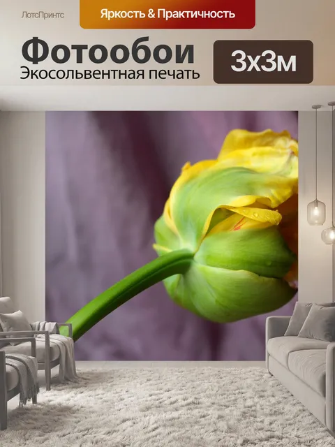 Фотообои Тюльпан
