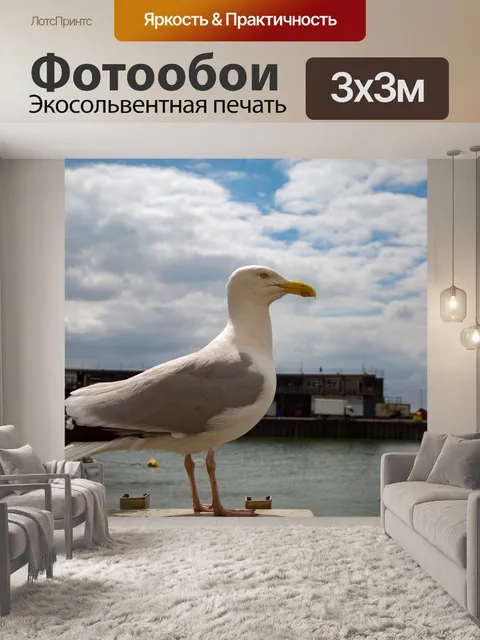 Фотообои Чайки в море