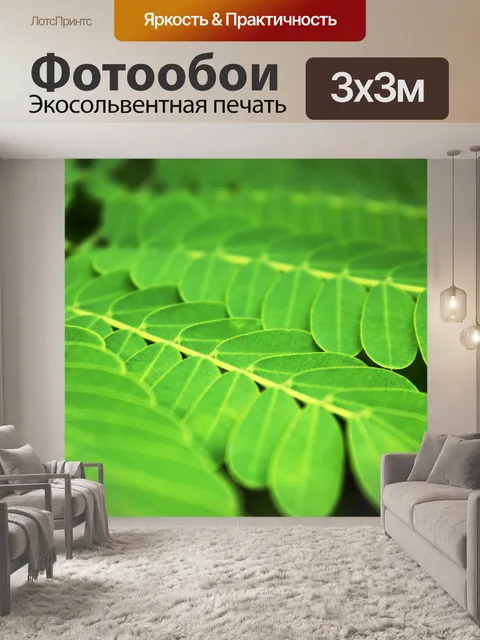 Фотообои Зеленые листья 4