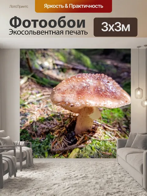 Фотообои Гриб в лесу