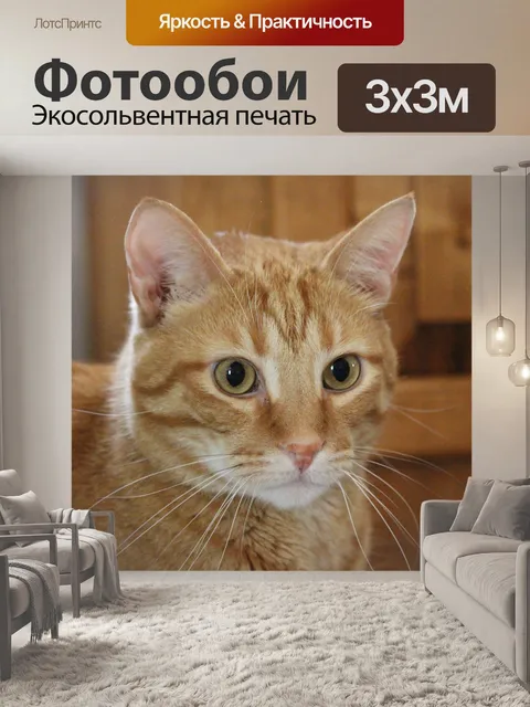 Фотообои Милый