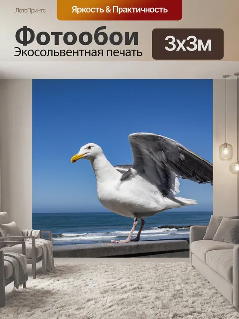 Фотообои чайка