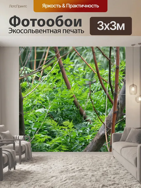 Фотообои молодая зеленая листва