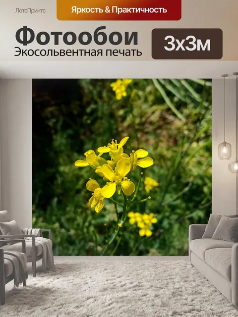 Фотообои Цветы