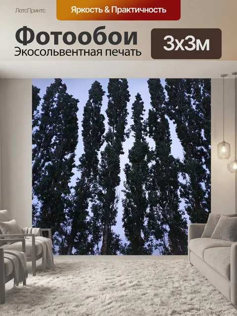 Фотообои Деревья