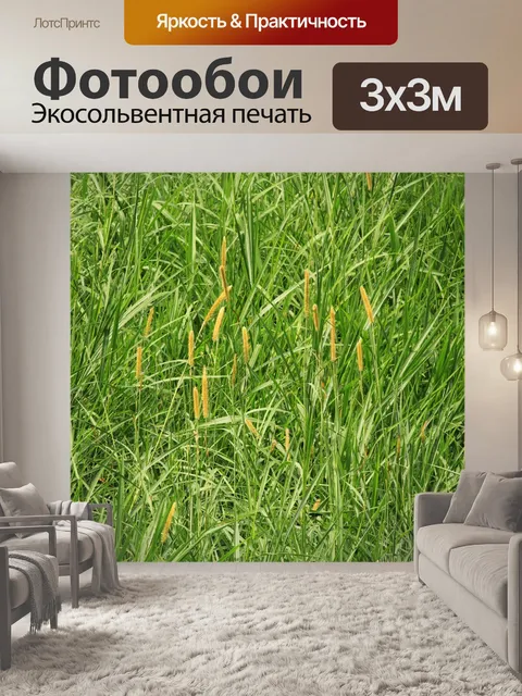 Фотообои Зеленый