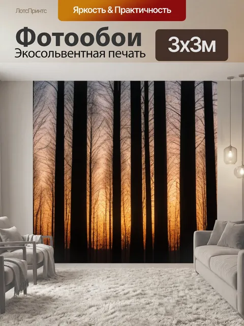 Фотообои лесные деревья, освещенные закатным светом