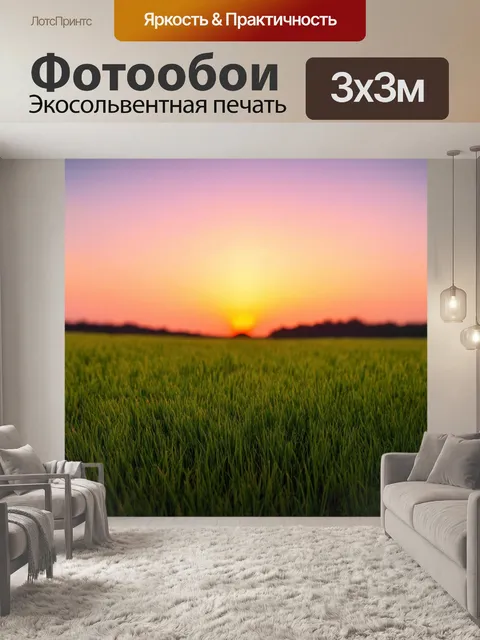 Фотообои пейзаж в стиле минимализм: трава, погруженная в многоцветный закат