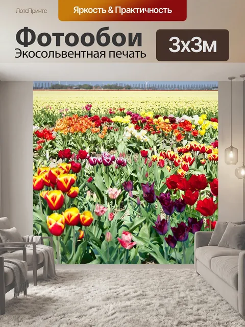 Фотообои Тюльпаны