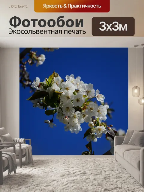 Фотообои Цветение вишни