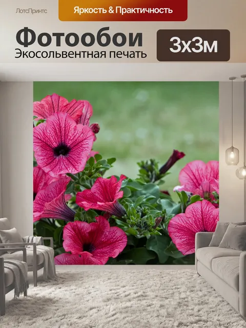 Фотообои Цветы