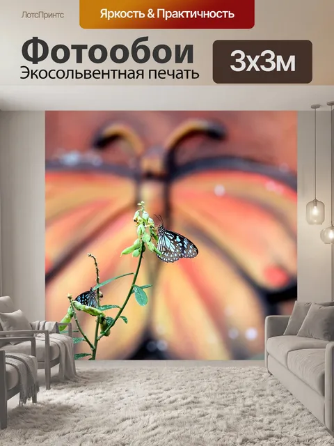 Фотообои Бабочка