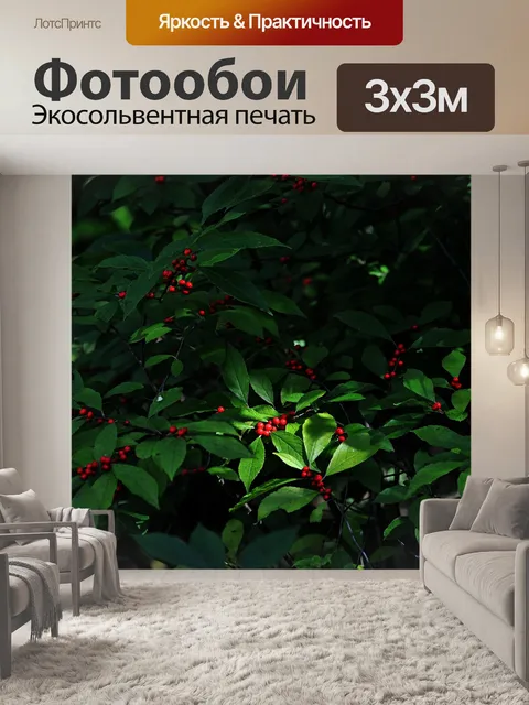 Фотообои Фрукты
