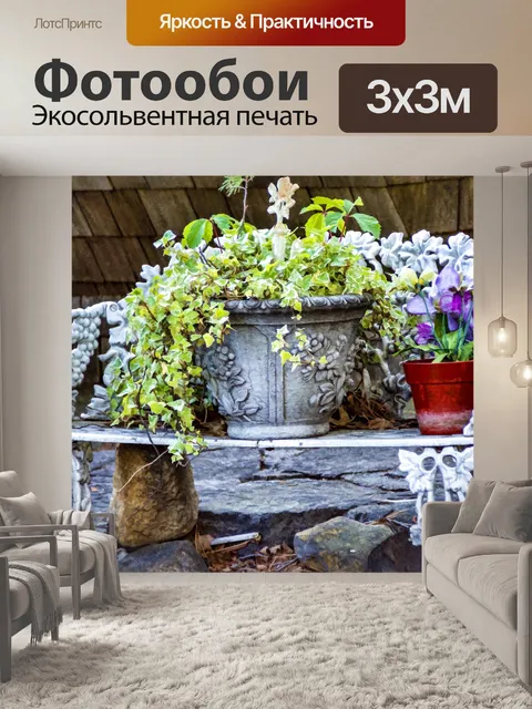 Фотообои Скамья патио с горшками с растениями