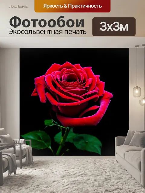 Фотообои розы в стиле тёмное фэнтези