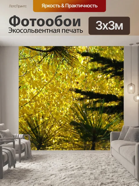 Фотообои Дерево