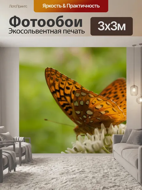 Фотообои Бабочка