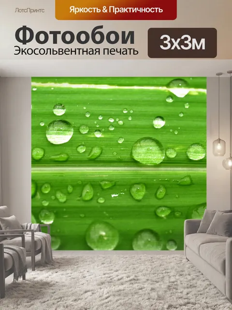 Фотообои Капля воды на листе