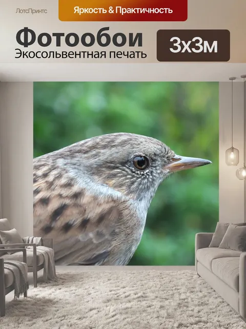 Фотообои Птица