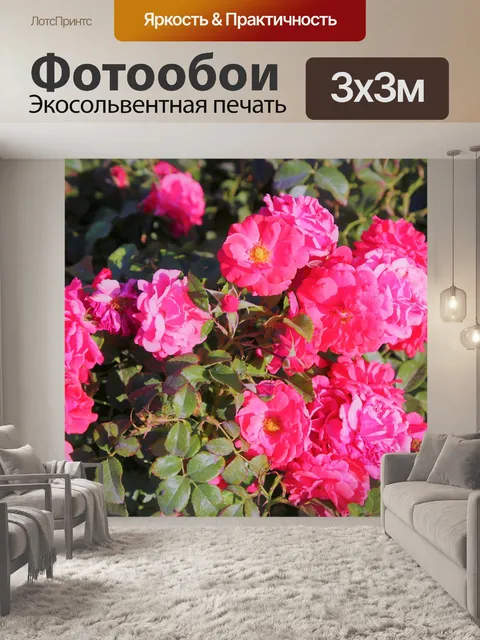 Фотообои Розы