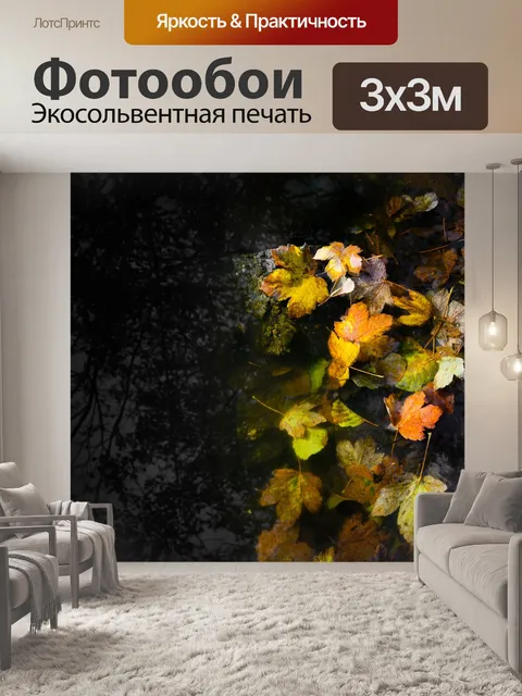 Фотообои Темный