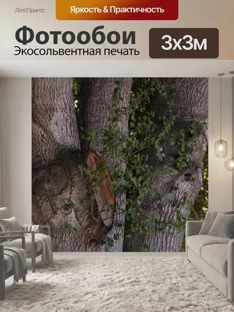 Фотообои Стволы деревьев
