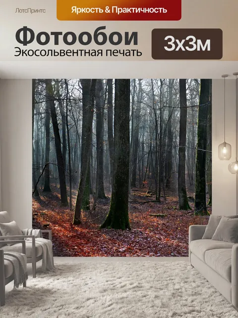 Фотообои Лес